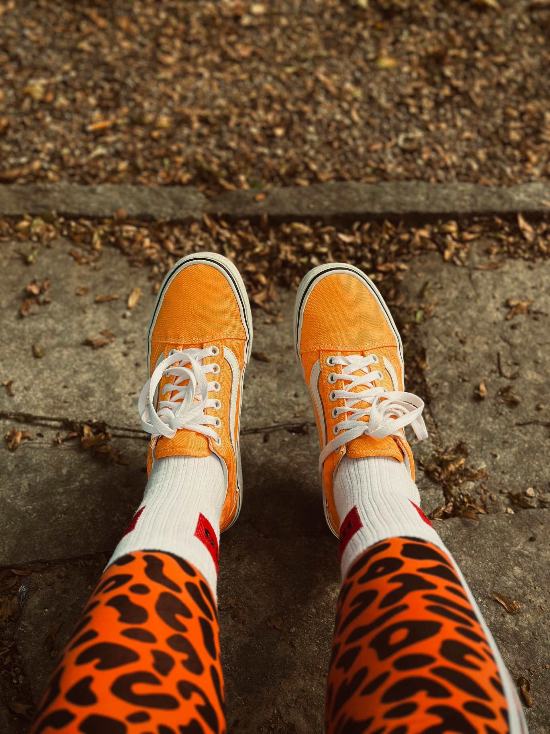 Vans léopard classique