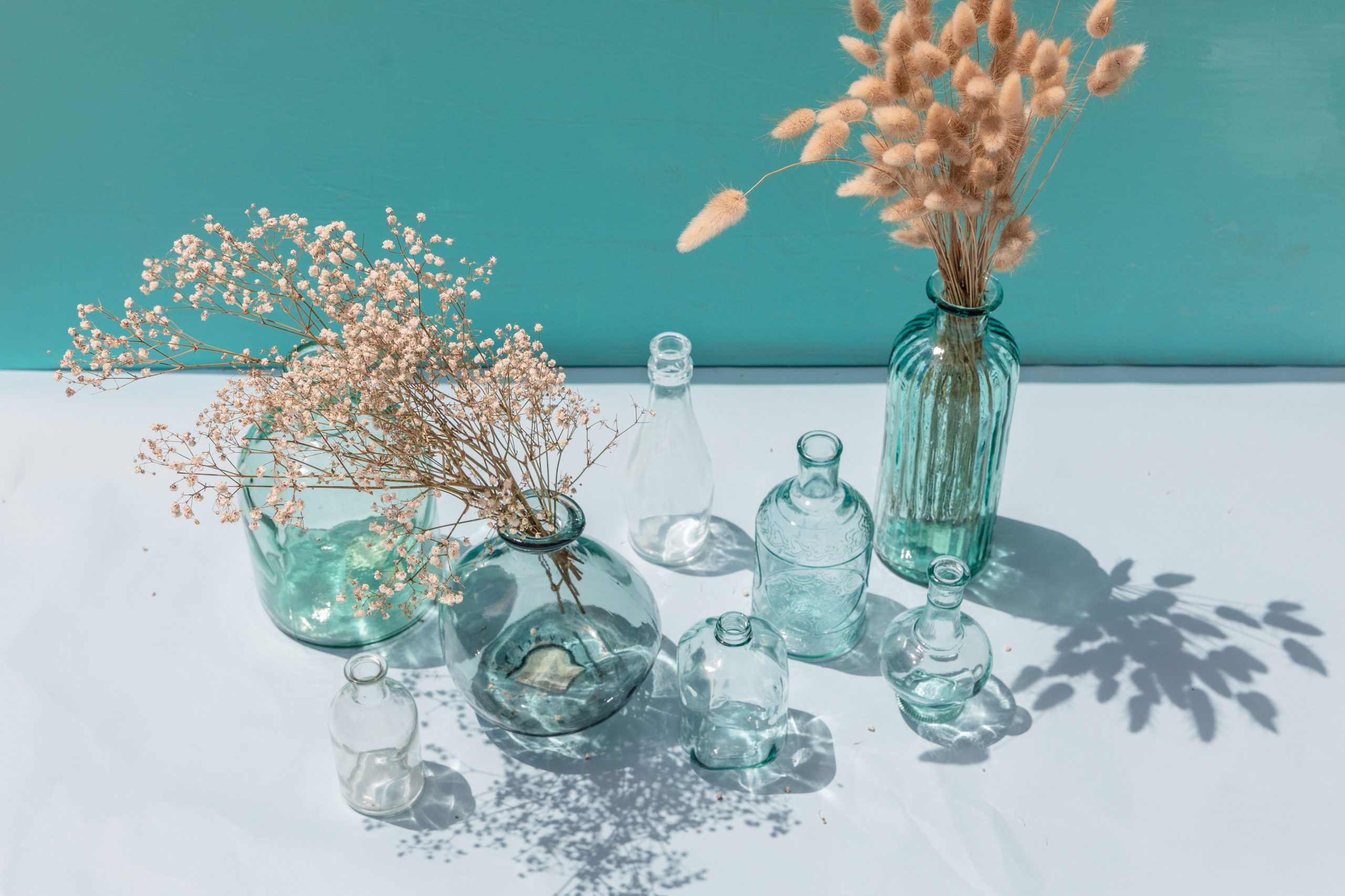 Vases en verre avec fleurs sechees lumiere naturelle