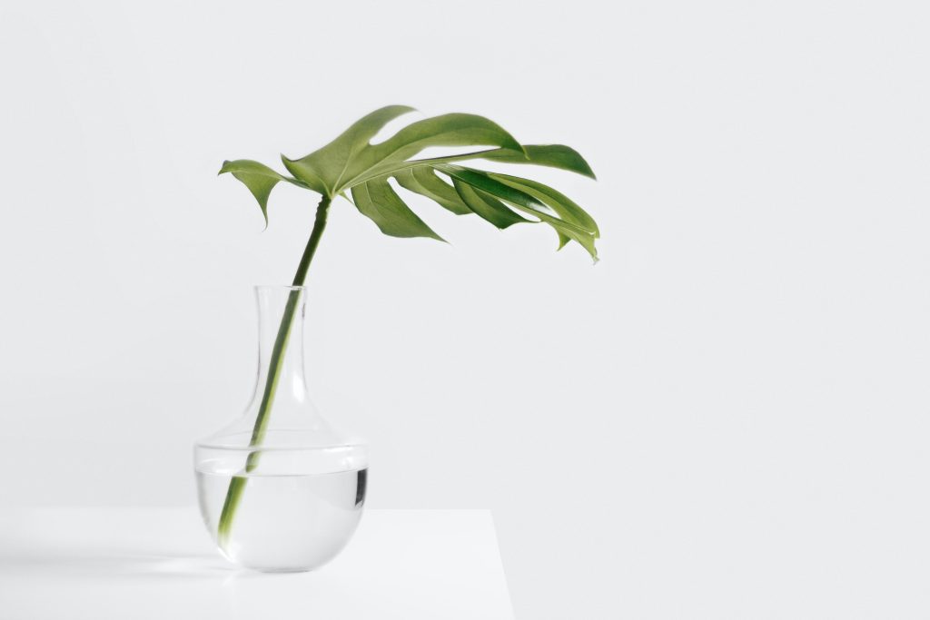 Comment décorer un grand vase transparent sans se tromper ?