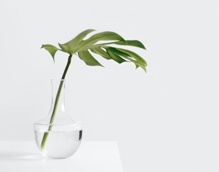 Comment décorer un grand vase transparent sans se tromper ?