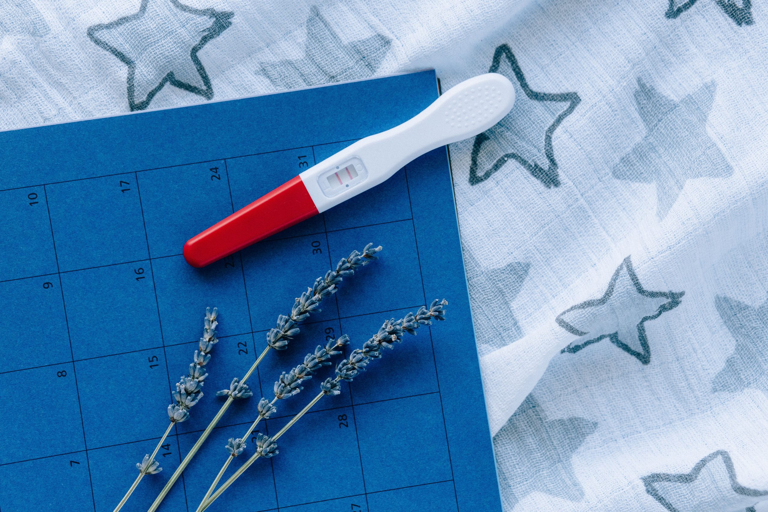 Test grossesse calendrier bleu lavande planification fertilite