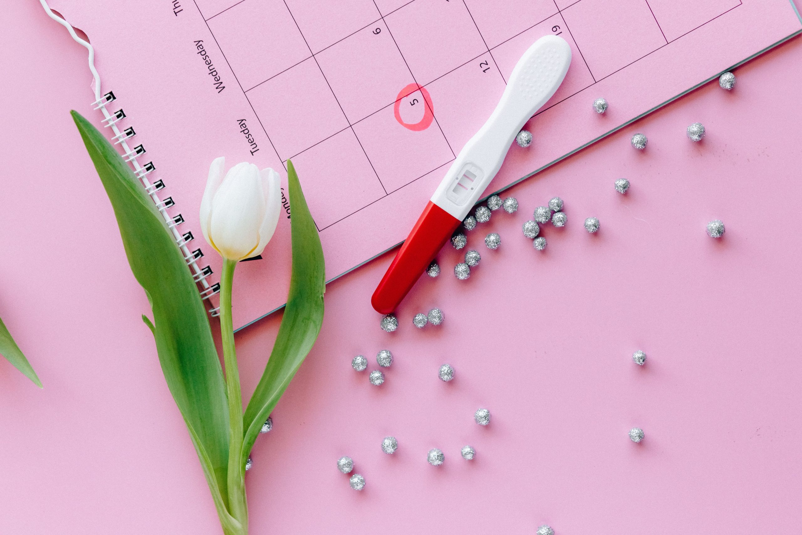 Test grossesse calendrier tulipe surface rose arrangement