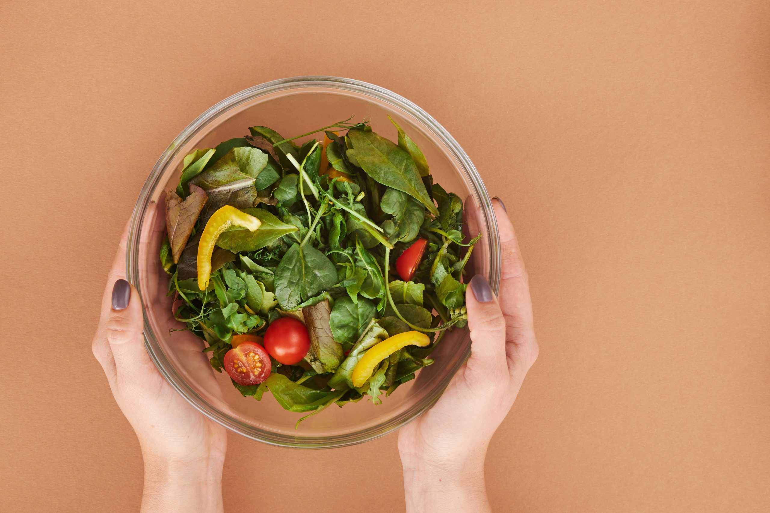 Bol de salade fraîche tenu à deux mains